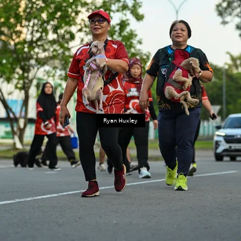 Runner Photo 8017298