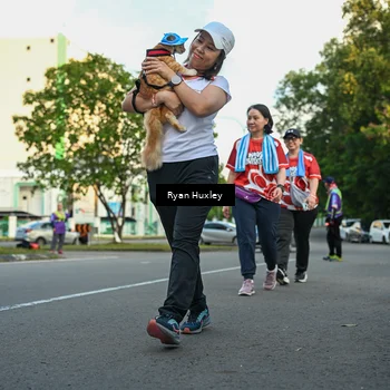 Runner Photo 8017315