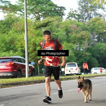 Runner Photo 8019466