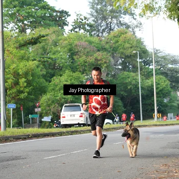 Runner Photo 8019490