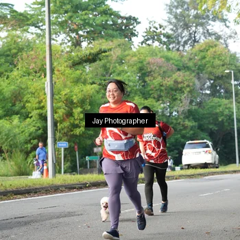 Runner Photo 8019529