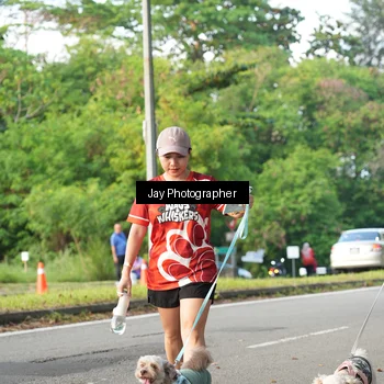 Runner Photo 8019544