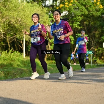 Runner Photo 8019772