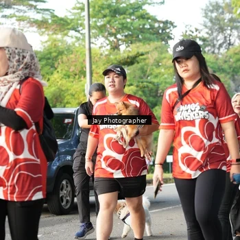 Runner Photo 8019871
