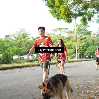 Runner Photo 8019923