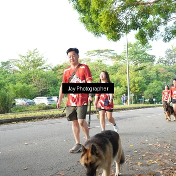Runner Photo 8019936