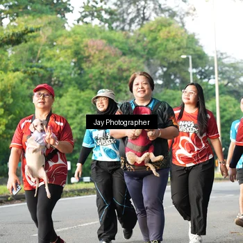 Runner Photo 8020087