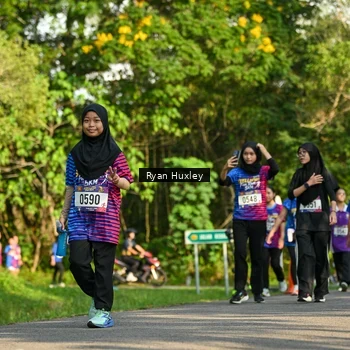 Runner Photo 8020385