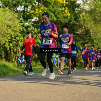 Runner Photo 8020448