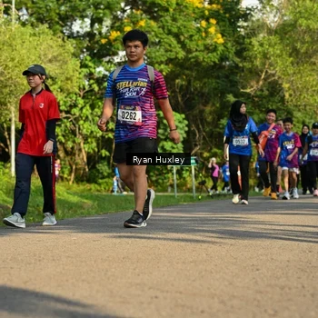 Runner Photo 8020459