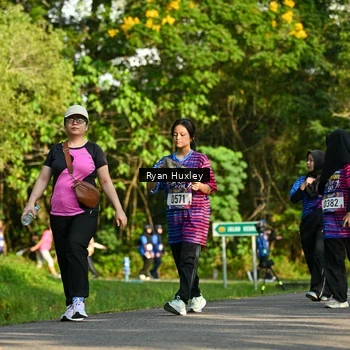 Runner Photo 8020568