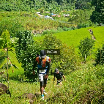 Runner Photo 80207