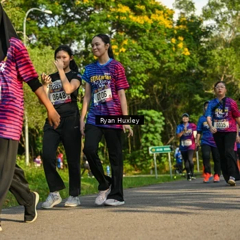 Runner Photo 8020700