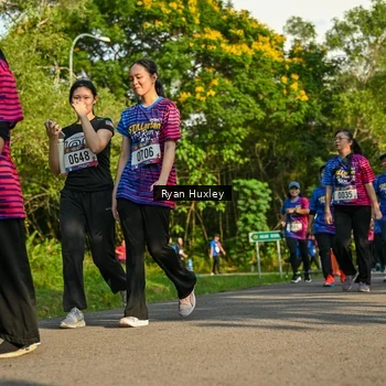 Runner Photo 8020724