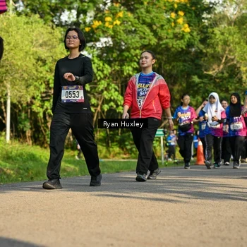 Runner Photo 8020800