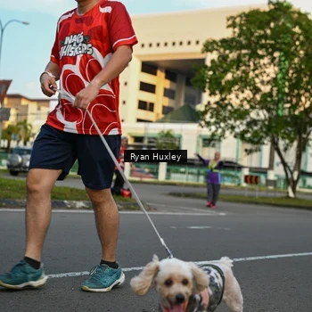 Runner Photo 8021168