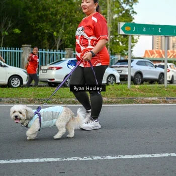 Runner Photo 8021279
