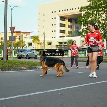 Runner Photo 8021300