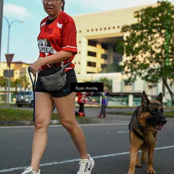 Runner Photo 8021303