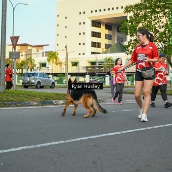 Runner Photo 8021307