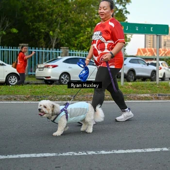 Runner Photo 8021356