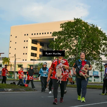 Runner Photo 8021367