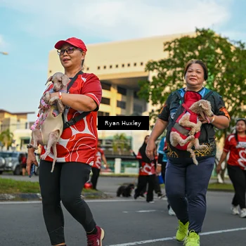 Runner Photo 8021370