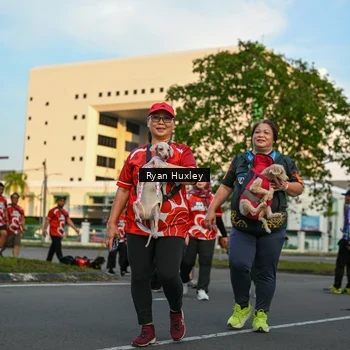Runner Photo 8021371