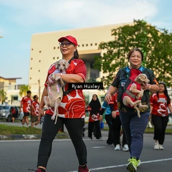 Runner Photo 8021372