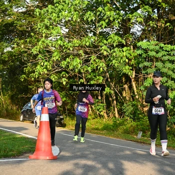 Runner Photo 8023011