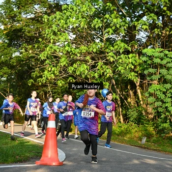 Runner Photo 8023205