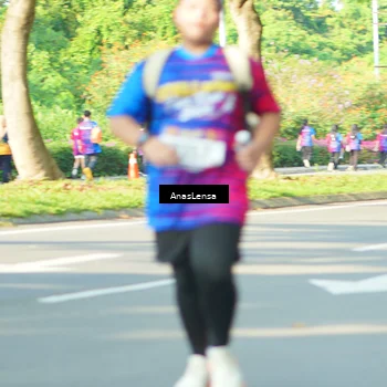 Runner Photo 8029409