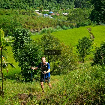 Runner Photo 80307