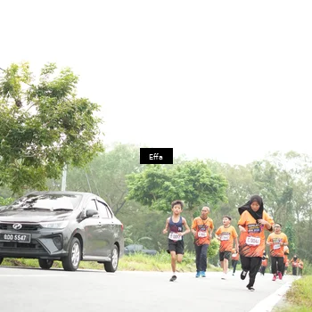 Runner Photo 8046083