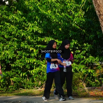 Runner Photo 8046594