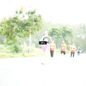 Runner Photo 8046926