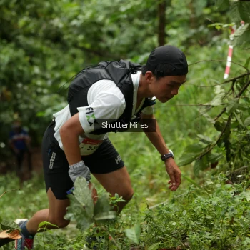 Runner Photo 80476