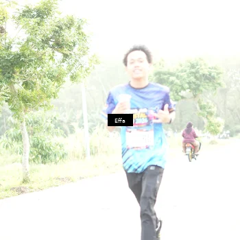 Runner Photo 8048045