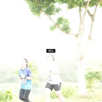 Runner Photo 8048080