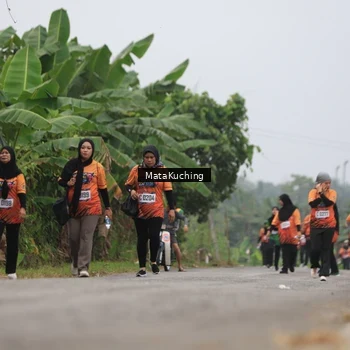 Runner Photo 8048448