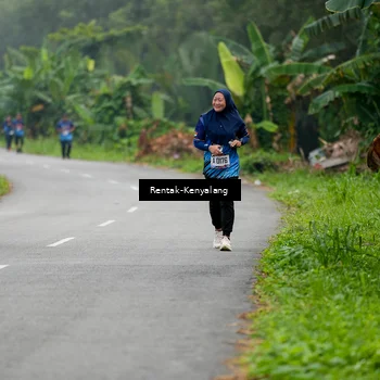 Runner Photo 8049634