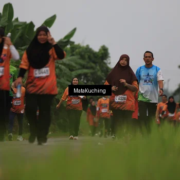 Runner Photo 8049768
