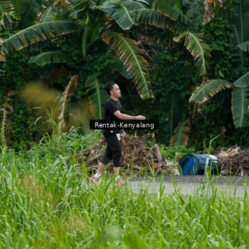 Runner Photo 8049864