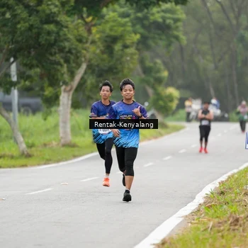 Runner Photo 8050324