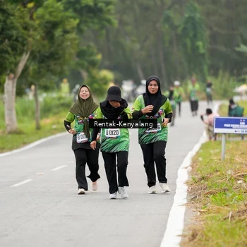 Runner Photo 8050594