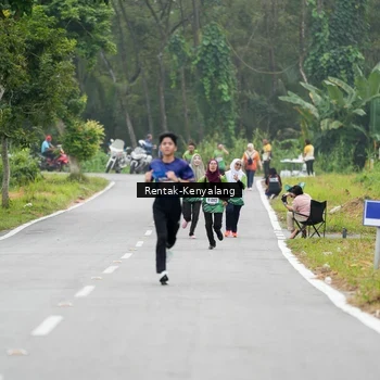 Runner Photo 8050898