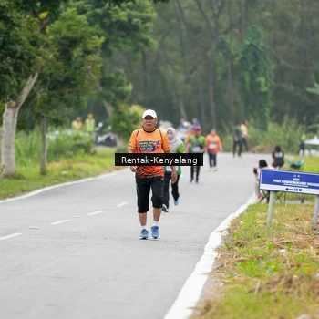 Runner Photo 8050994