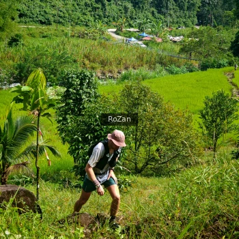 Runner Photo 80522