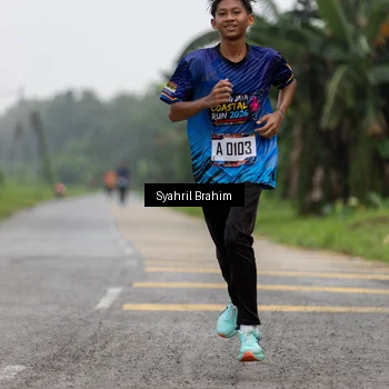 Runner Photo 8052615