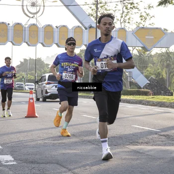 Runner Photo 8052821